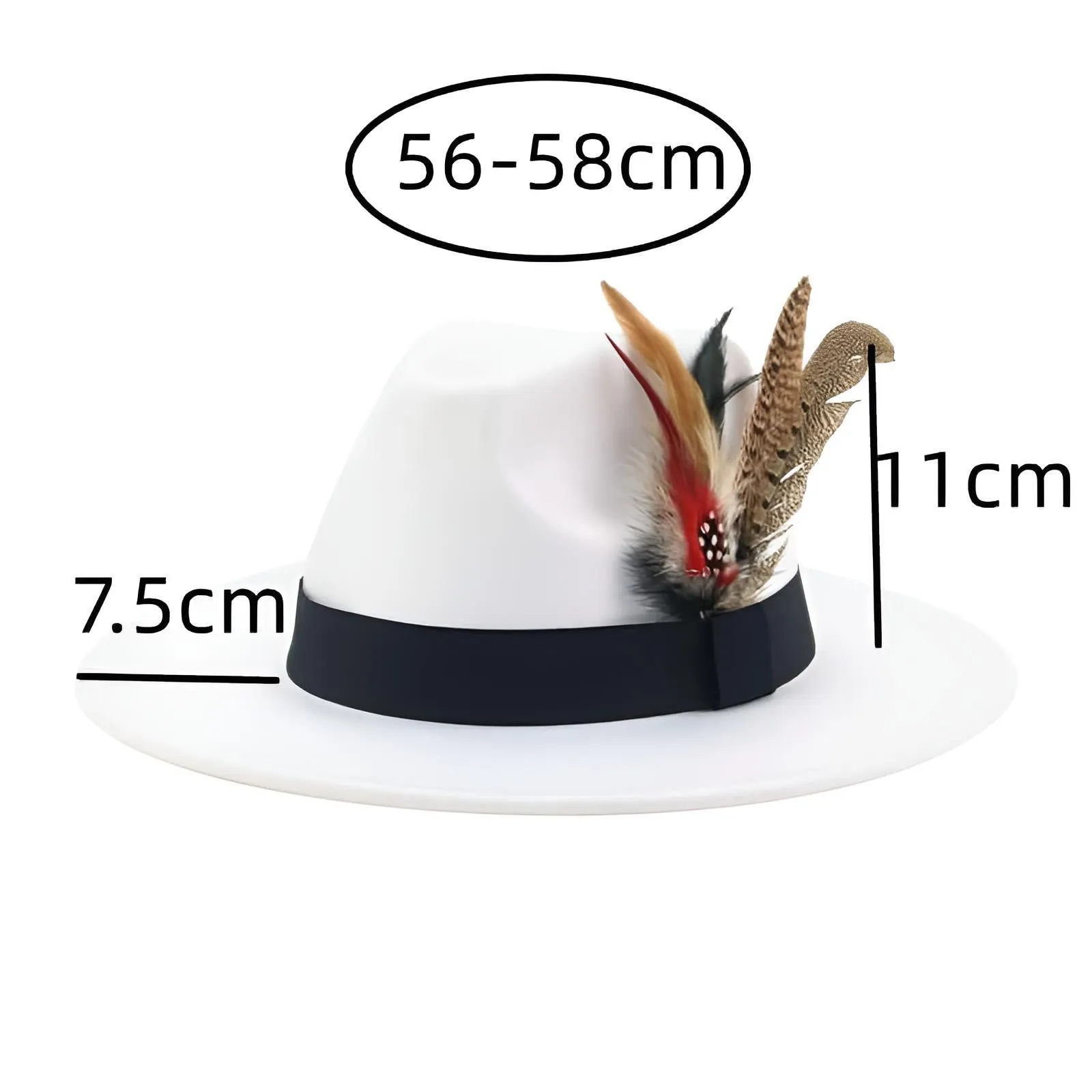 Fedora With Feather Band Detailing For Men & Women